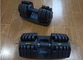 Exercise Cement Adjustable 12.5lbs Gym Fitness Dumbbell supplier